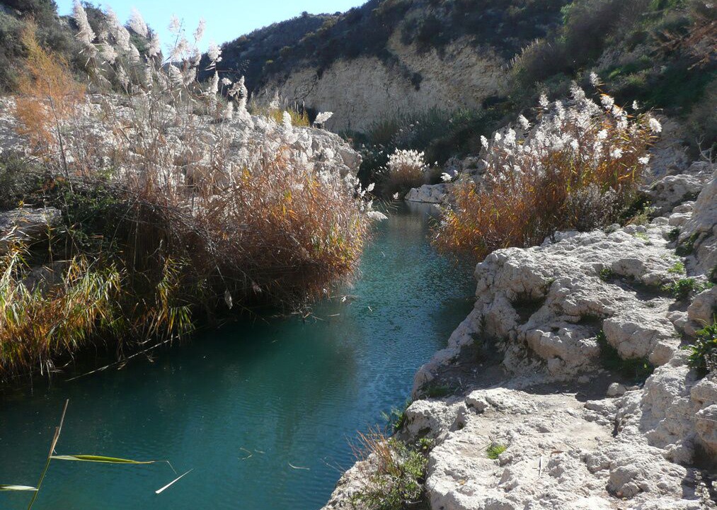 Photo of Others in Gafares