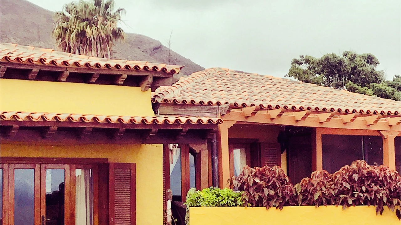 Photo of Others in Granadilla de Abona