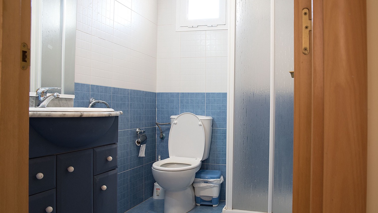 Photo of Bathroom in Retamar