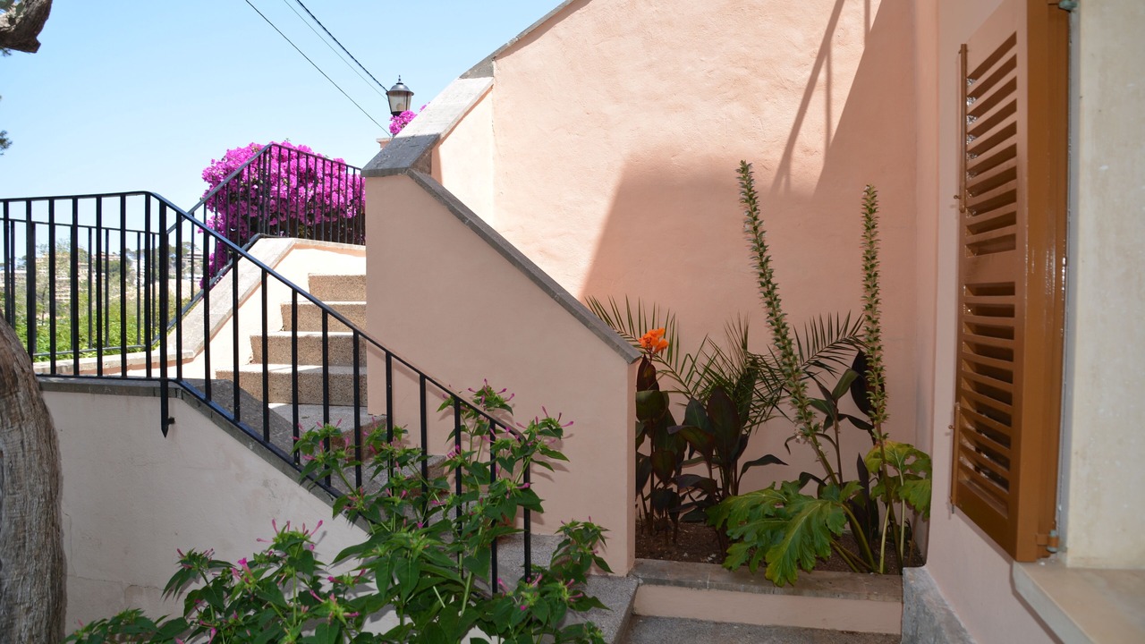 Photo of Outdoor in Puerto de Soller