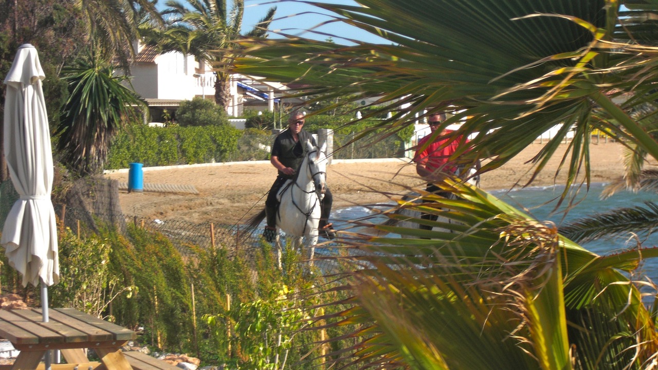 Photo of Others in Diputacion de Rincon de San Gines
