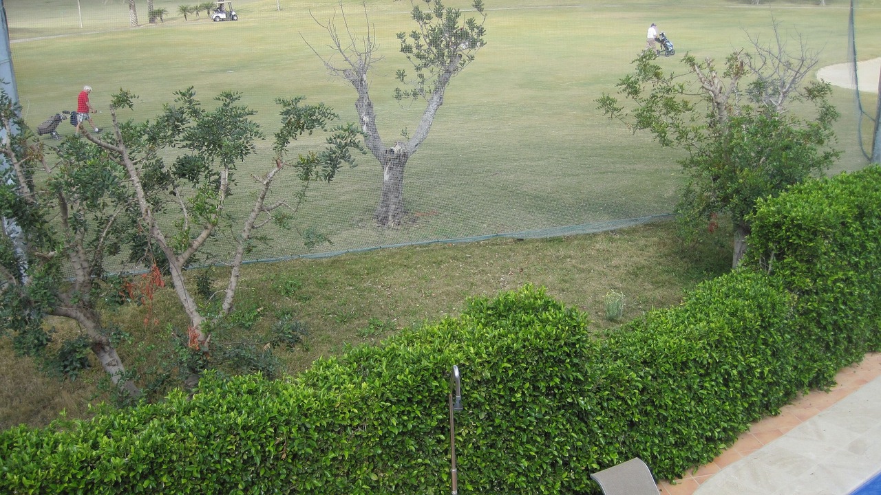 Photo of Others in Torre-Pacheco