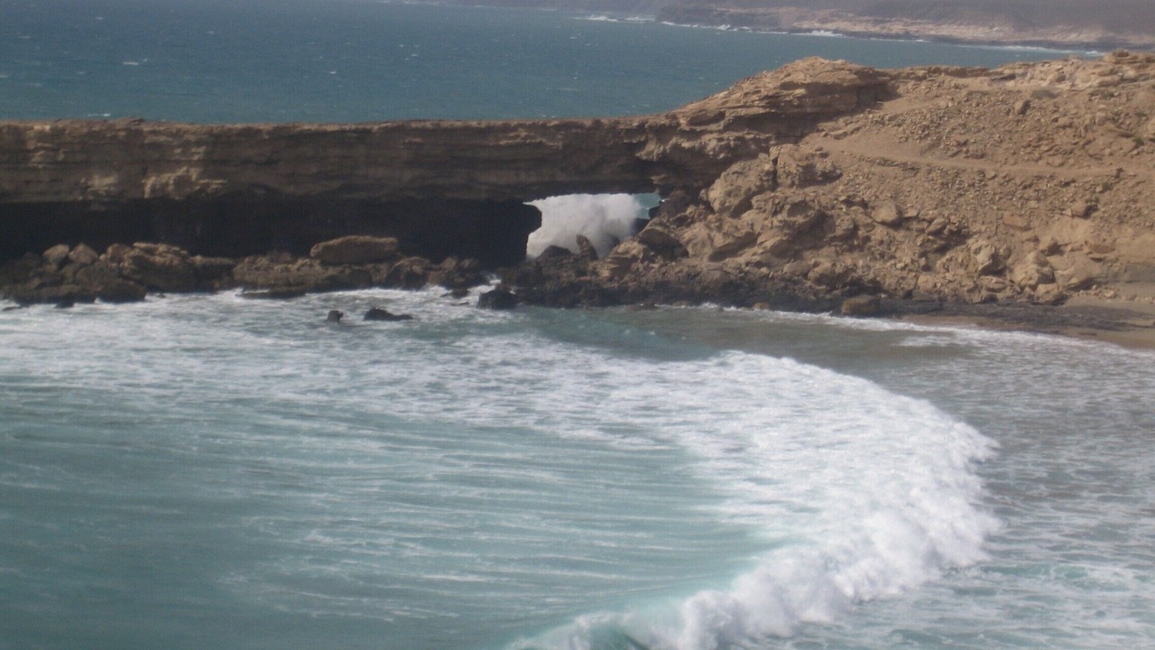 Photo of Others in Gran Tarajal
