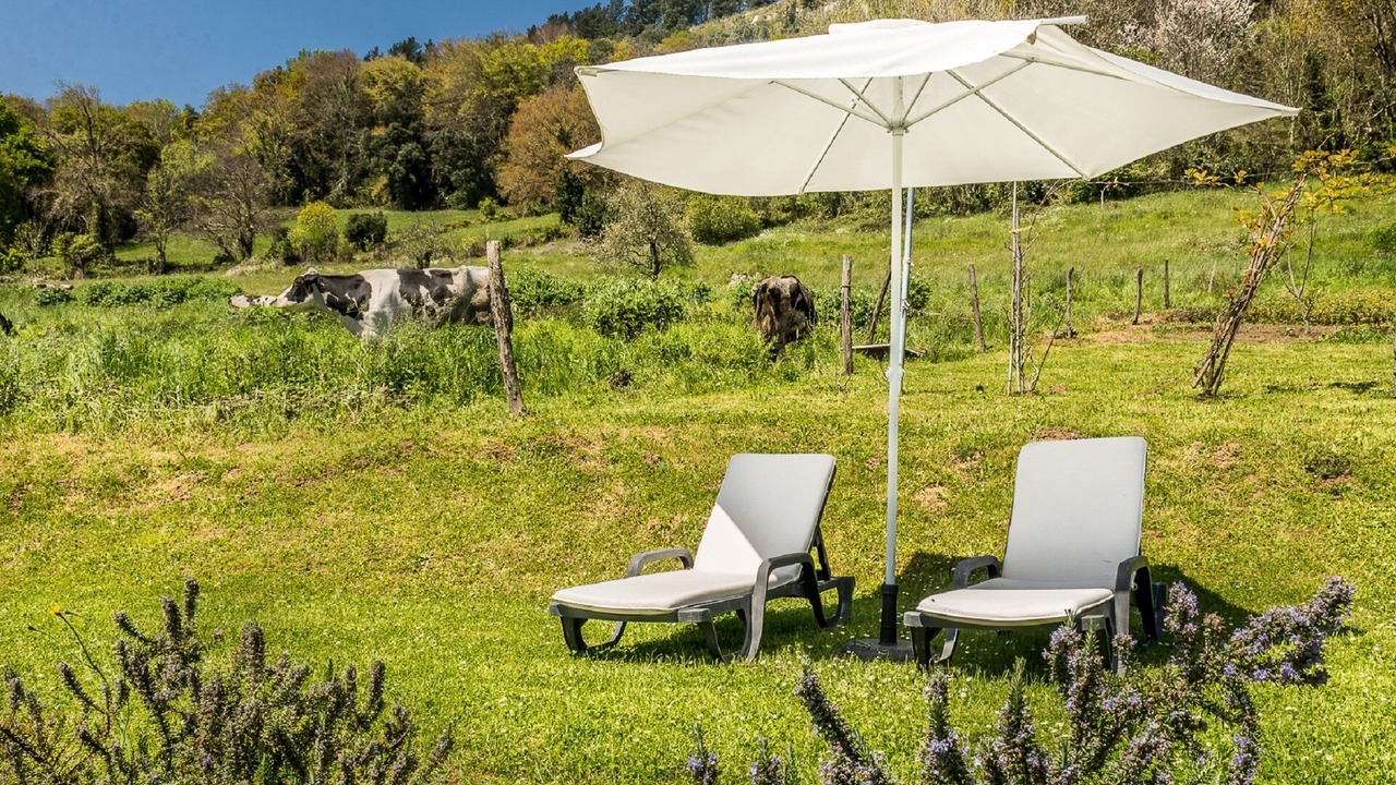 Photo of Outdoor in Ampuero