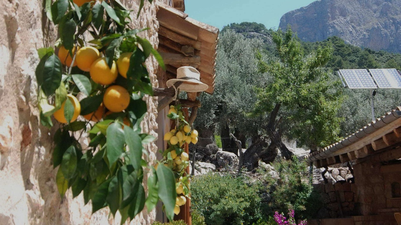 Photo of Outdoor in Fornalutx