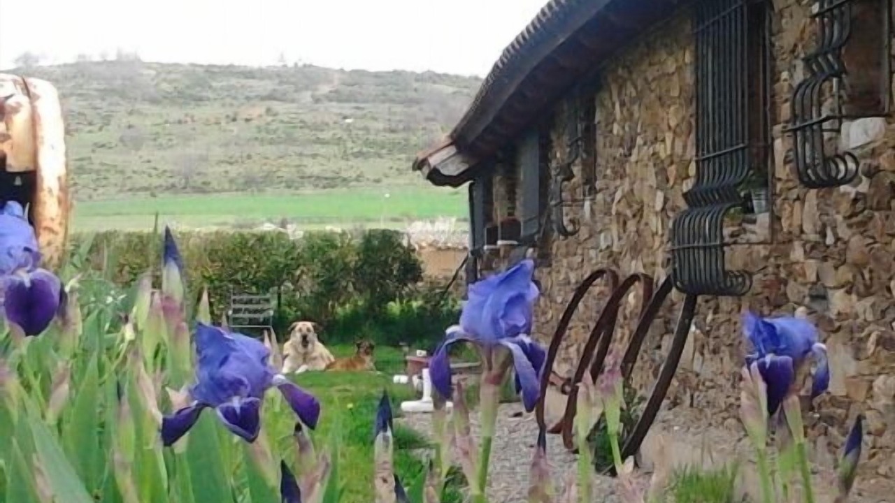 Photo of Outdoor in Santa Maria de Ordas