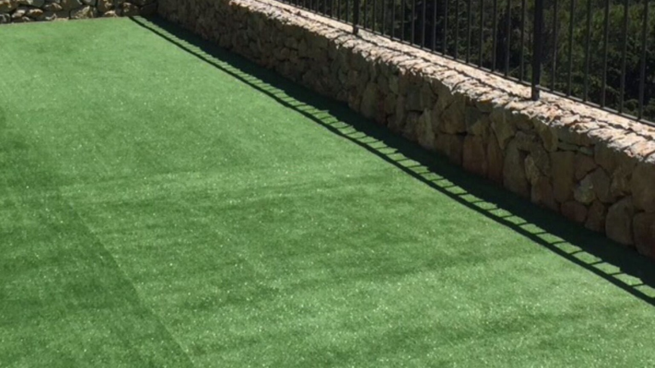 Photo of Others in Pollensa