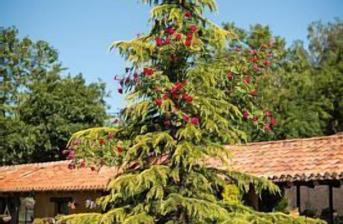 Photo of Outdoor in Fontibre