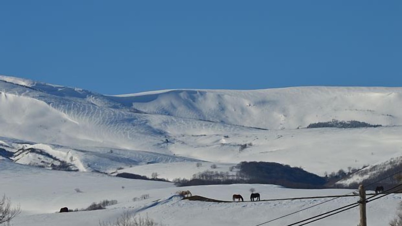 Photo of Outdoor in Fontibre
