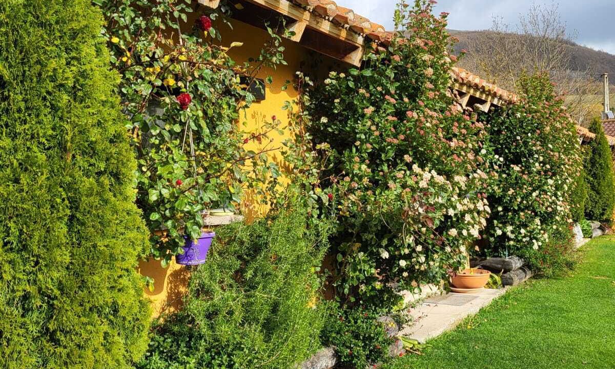 Photo of Outdoor in Fontibre