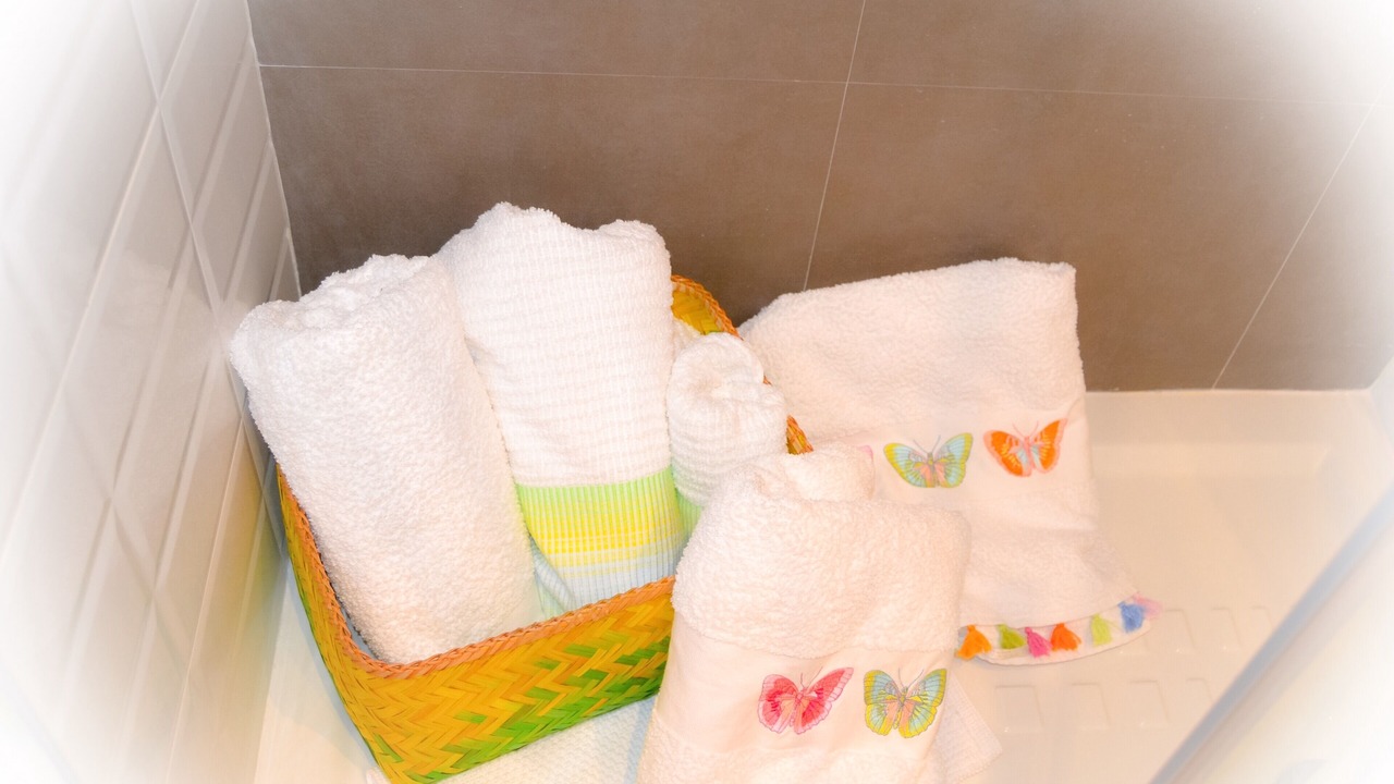 Photo of Bathroom in Logrono City Centre