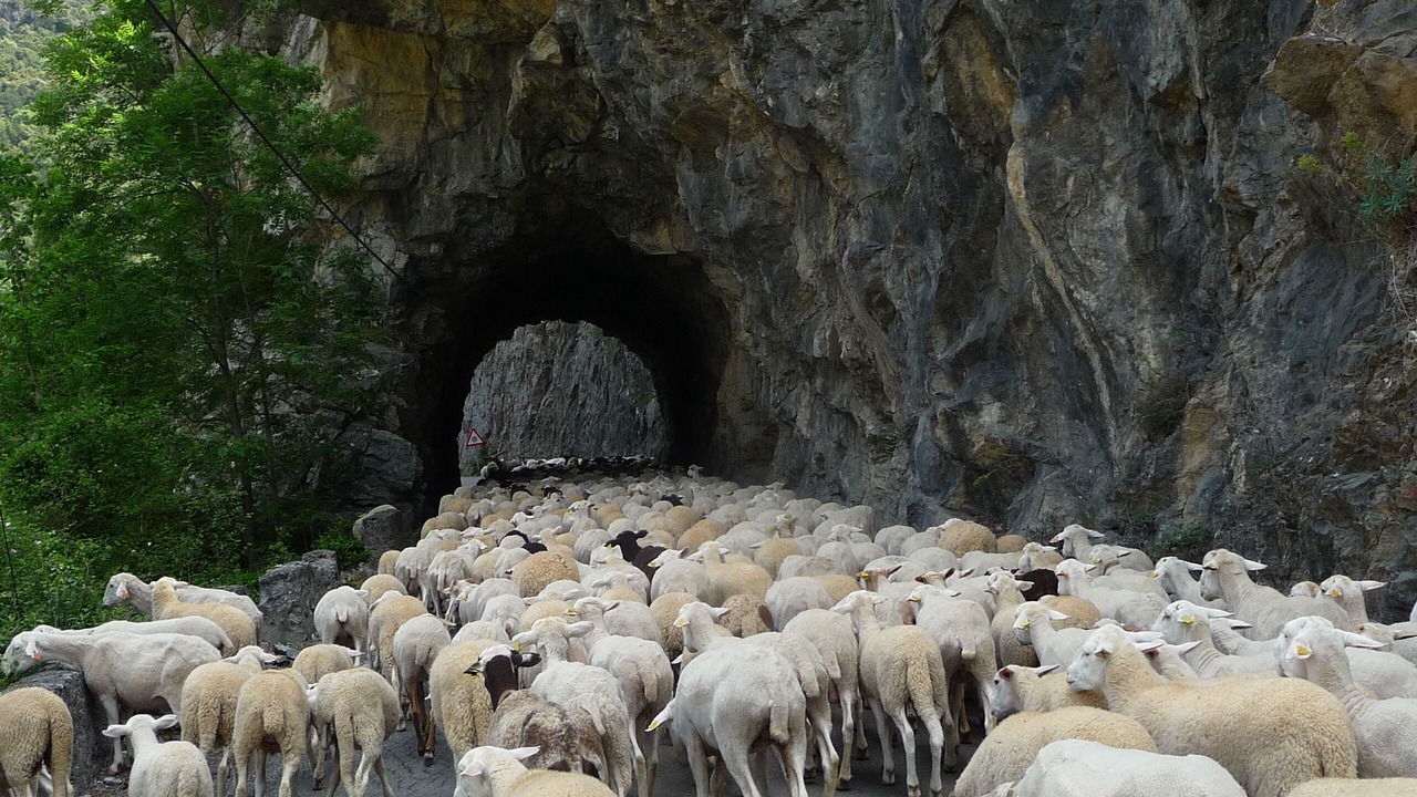 Photo of Others in Ainsa