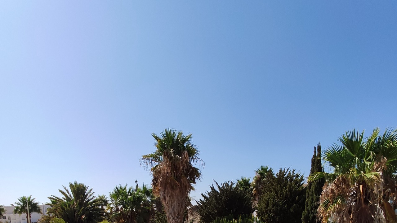 Photo of Others in La Isleta del Moro