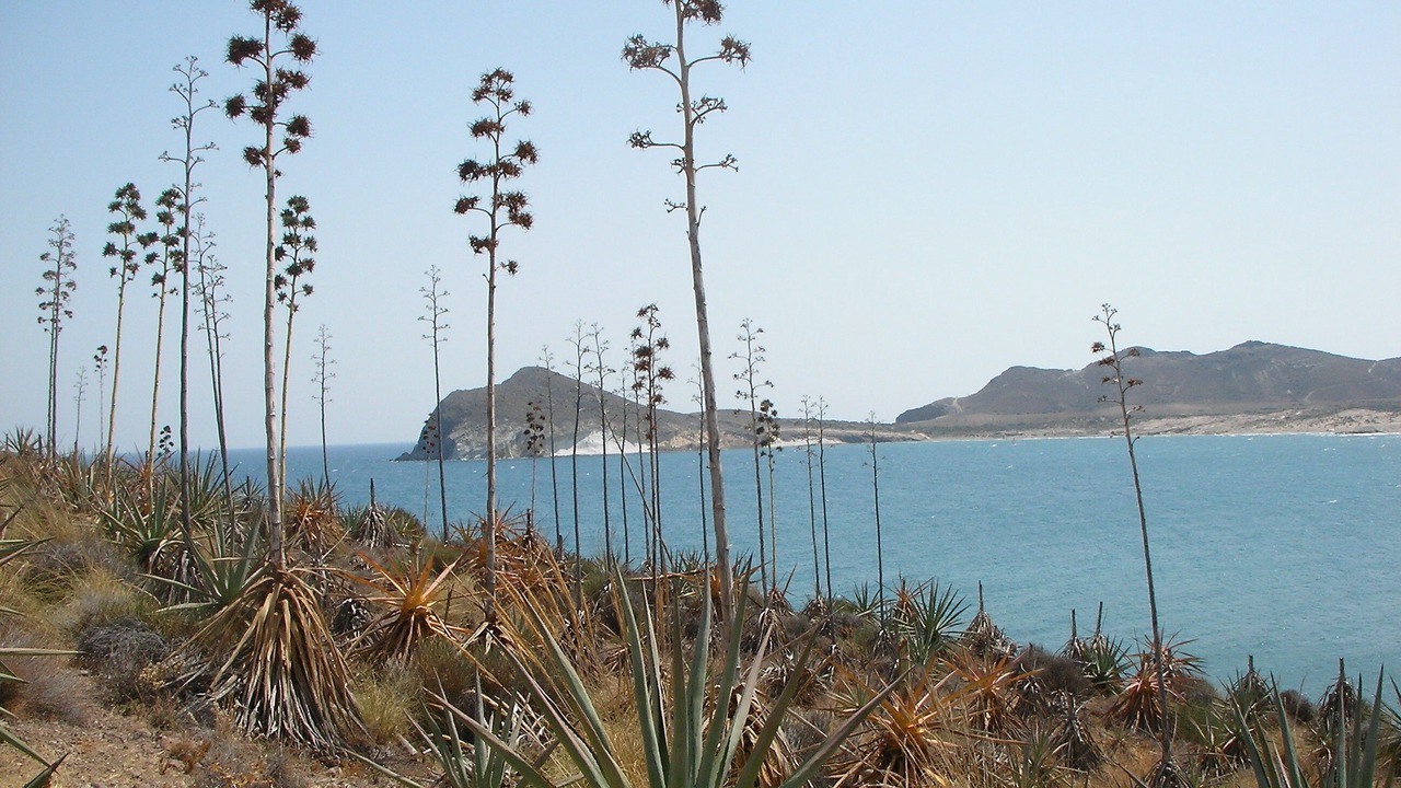 Photo of Others in La Isleta del Moro