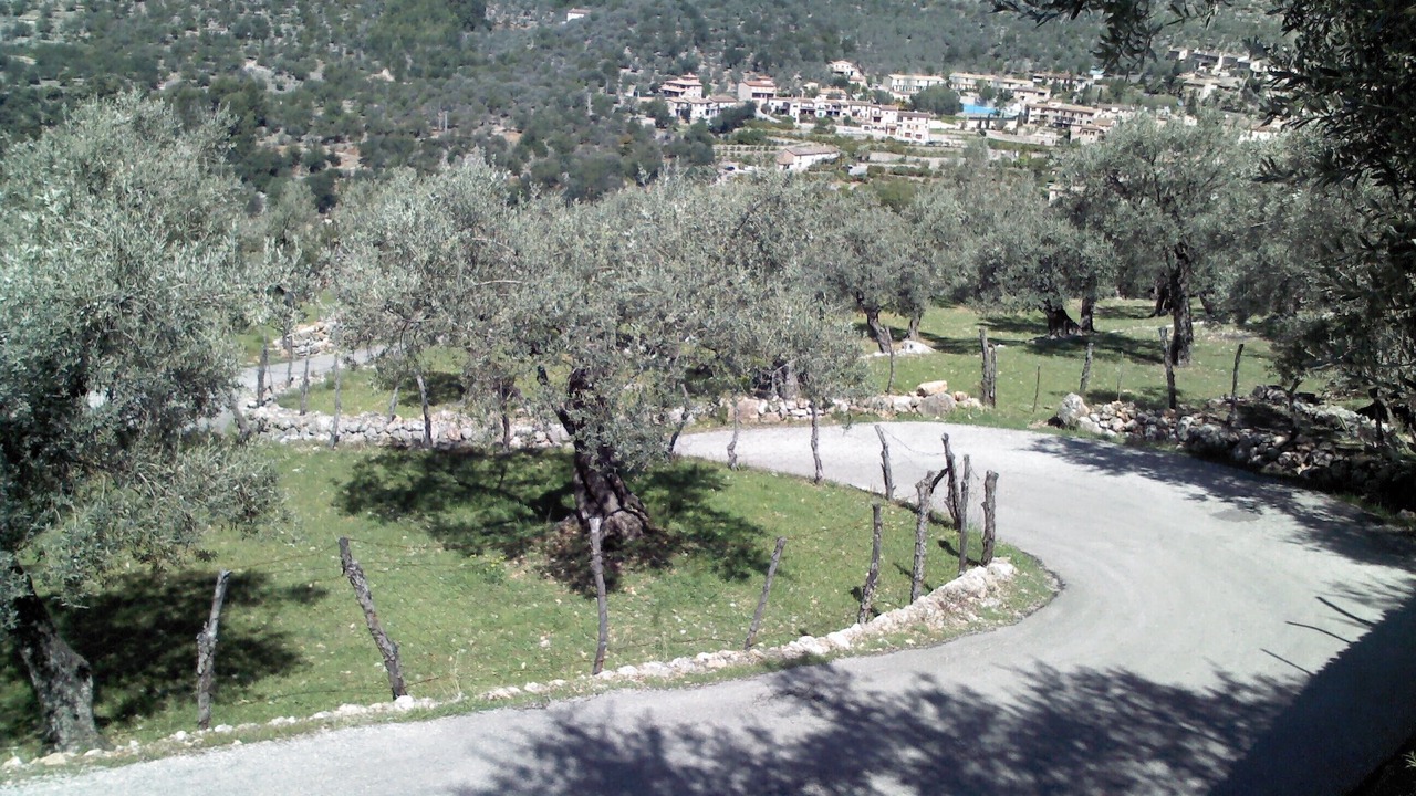 Photo of Outdoor in Fornalutx