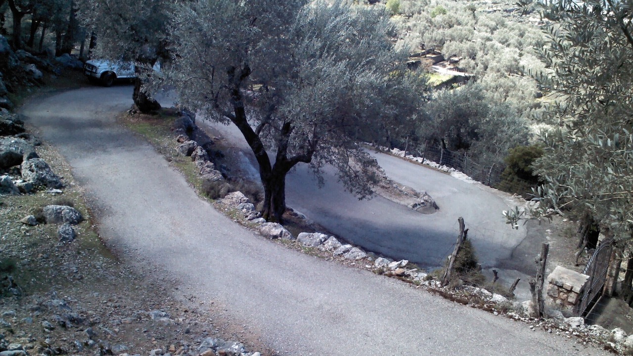 Photo of Outdoor in Fornalutx