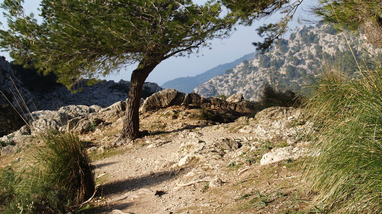 Photo of Outdoor in Biniaraix