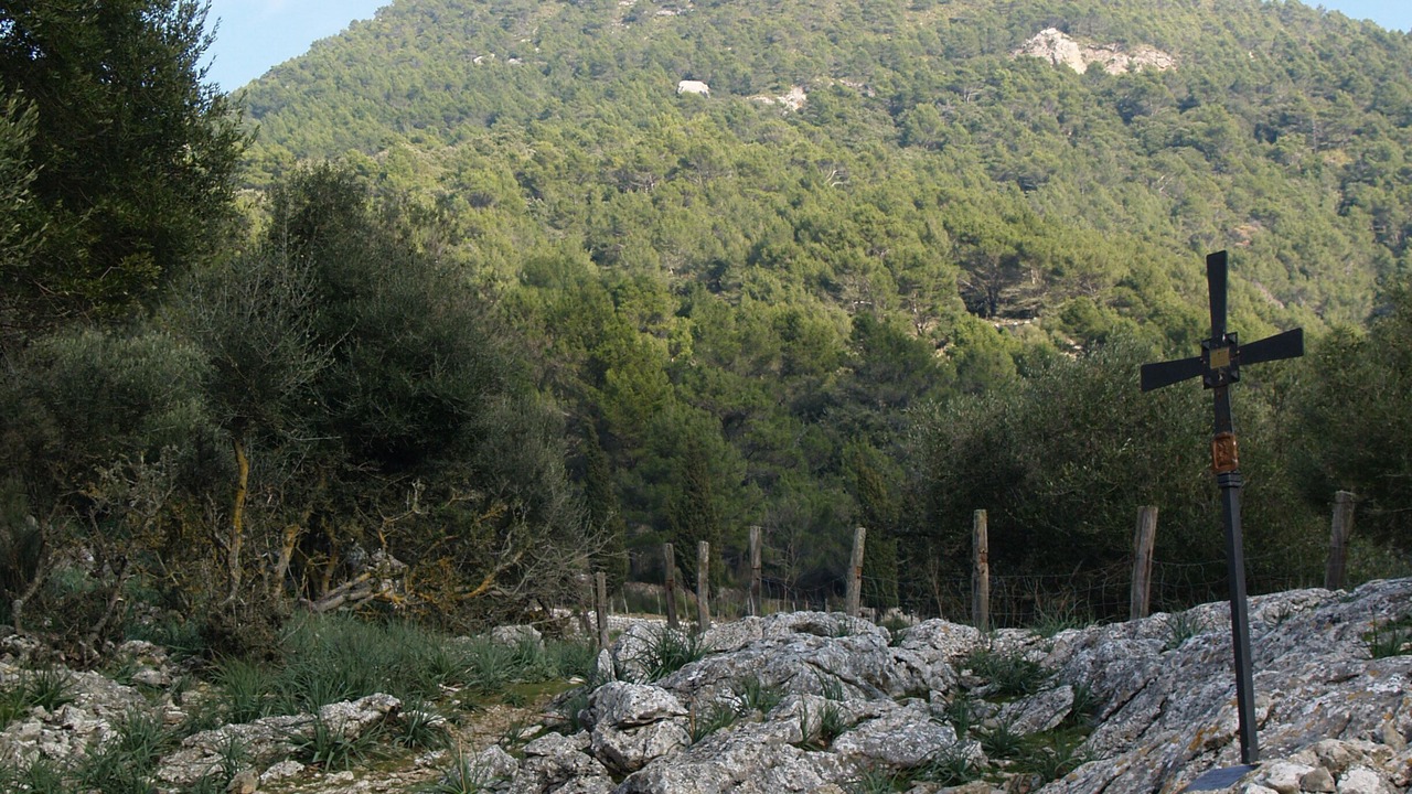 Photo of Outdoor in Biniaraix