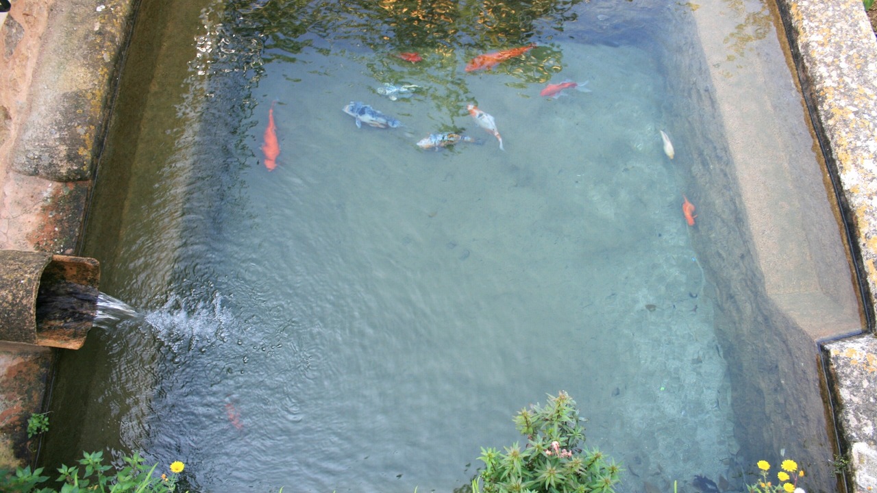 Photo of Others in Biniaraix