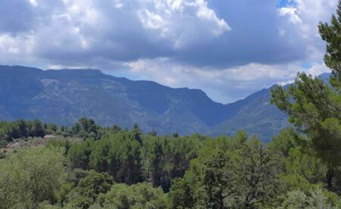 Photo of Others in Fornalutx