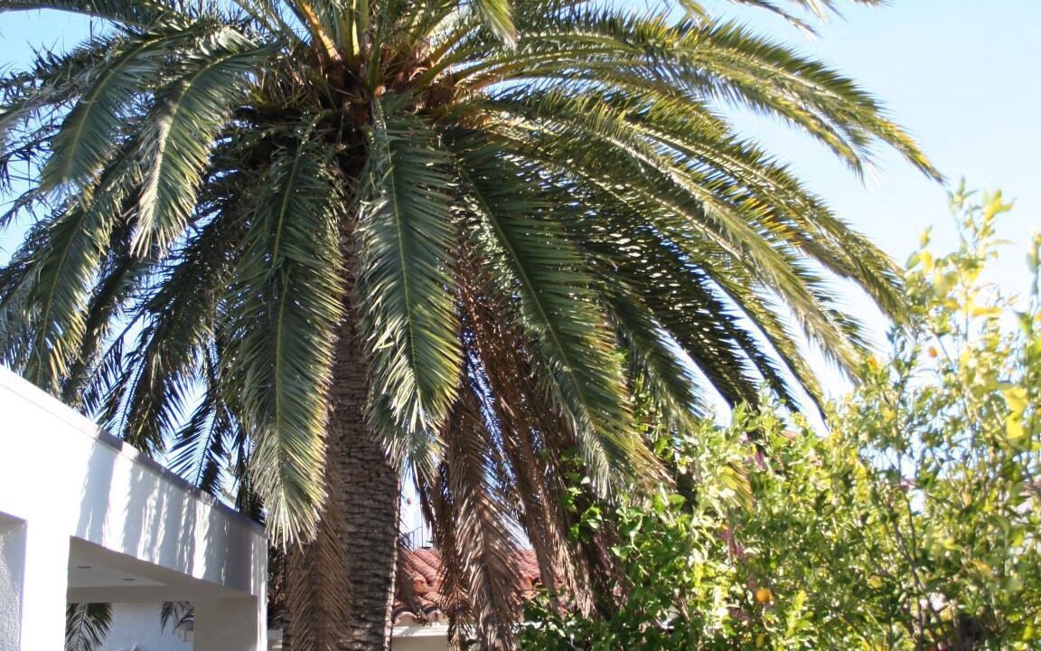 Photo of Outdoor in Empuriabrava