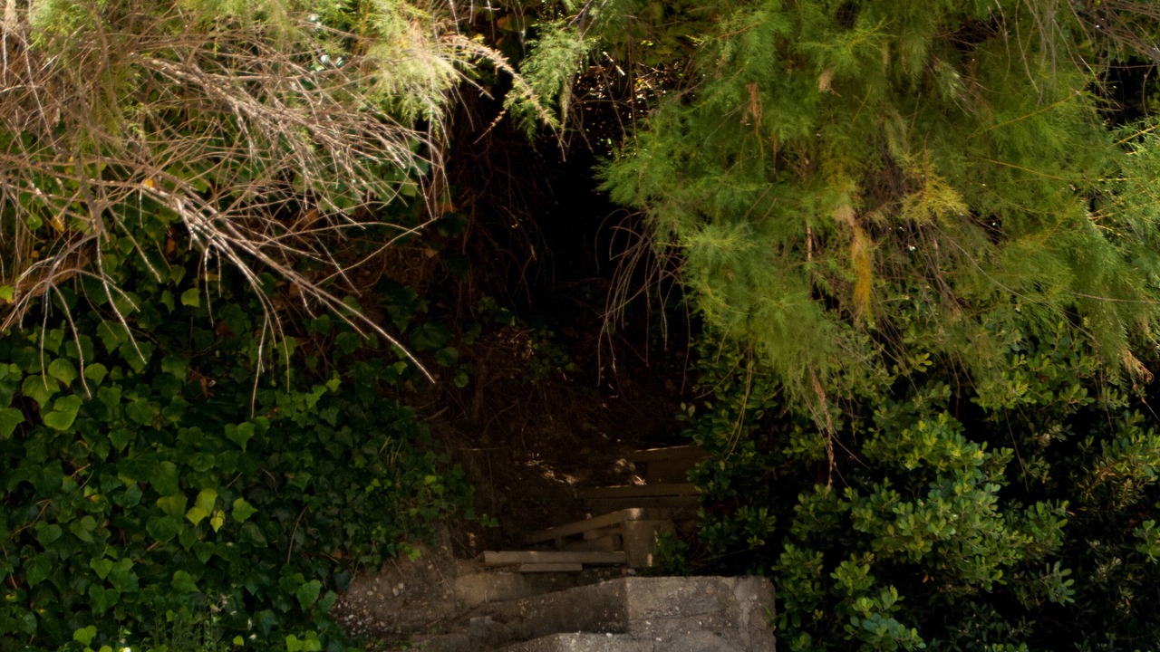 Photo of Outdoor in Ares