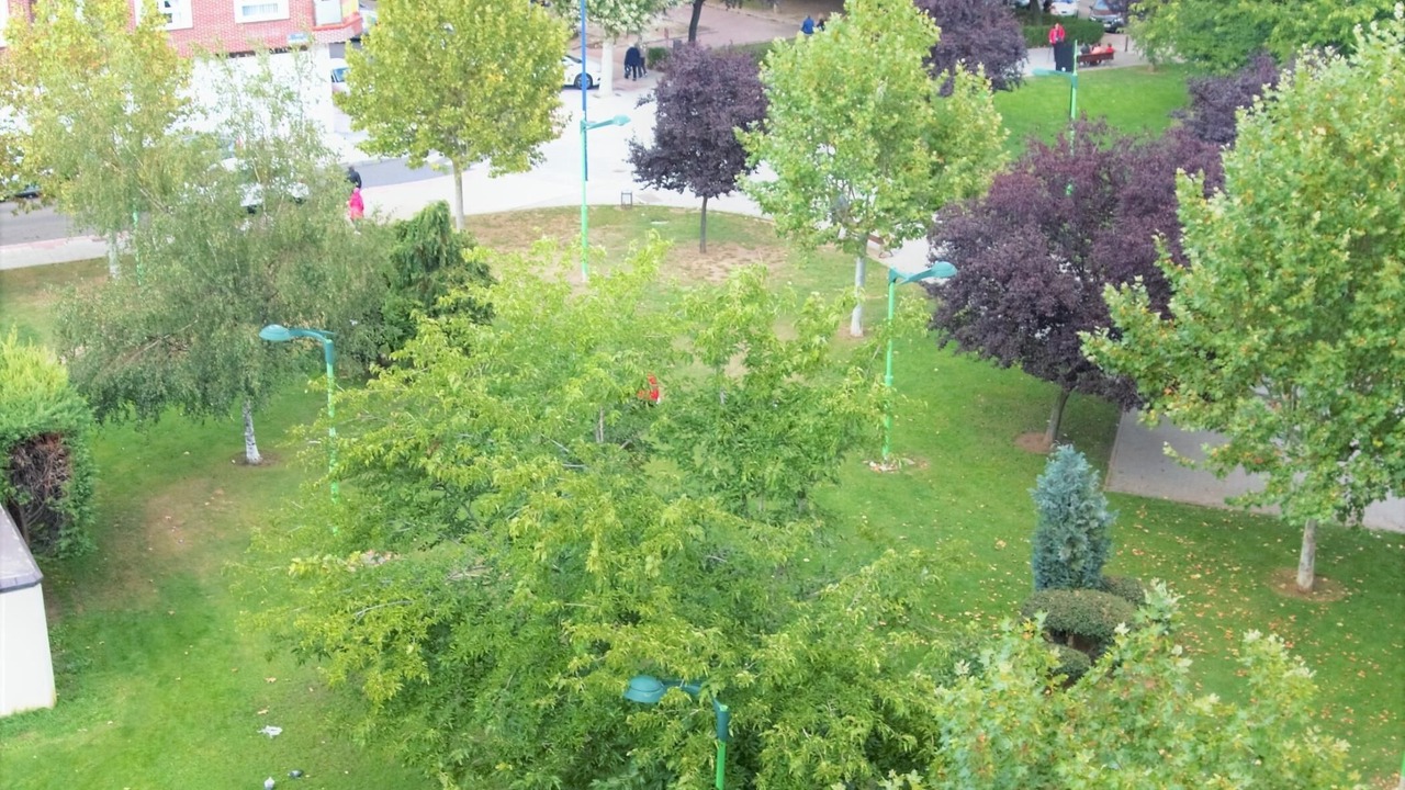 Photo of Outdoor in Leon