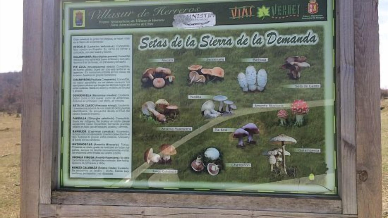 Photo of Outdoor in Villasur de Herreros