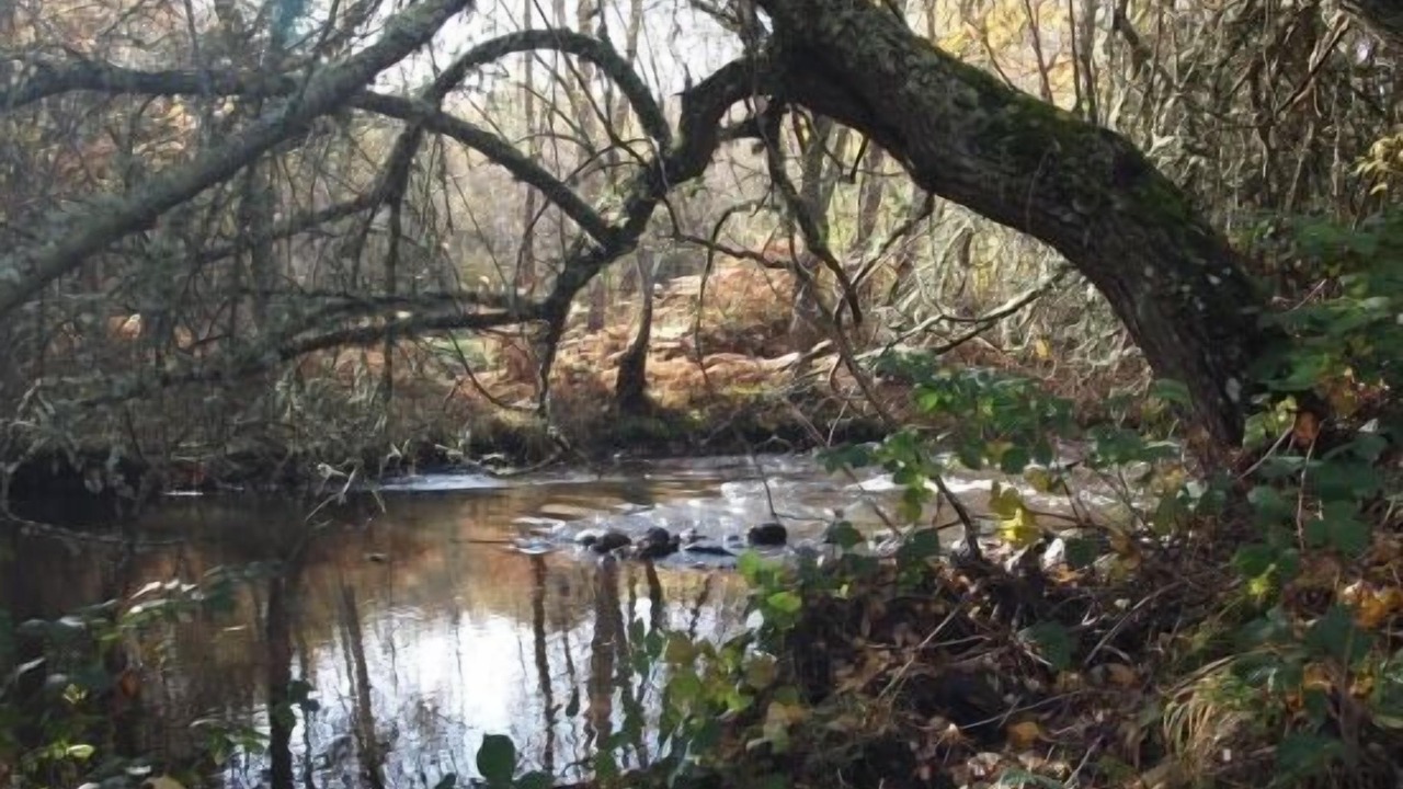Photo of Outdoor in Villasur de Herreros