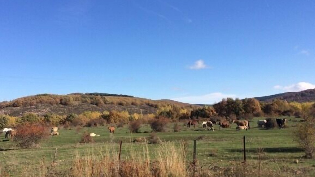 Photo of Outdoor in Villasur de Herreros