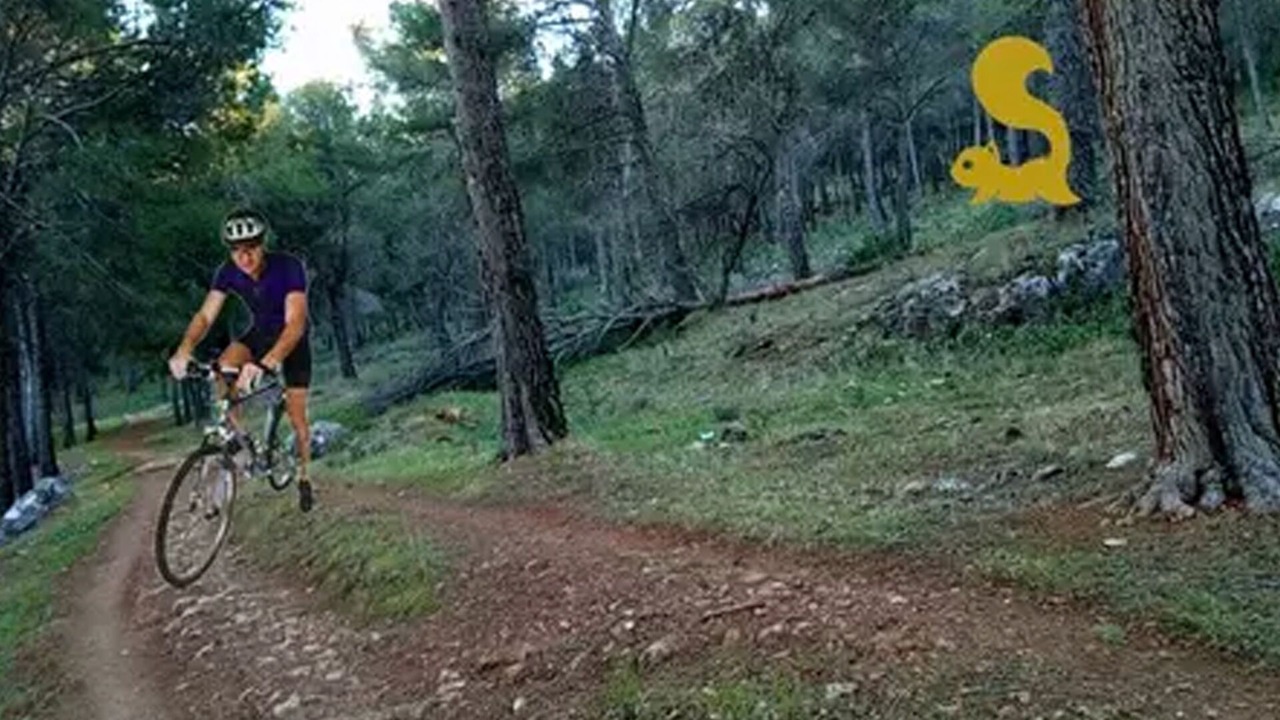 Photo of Others in Jaen