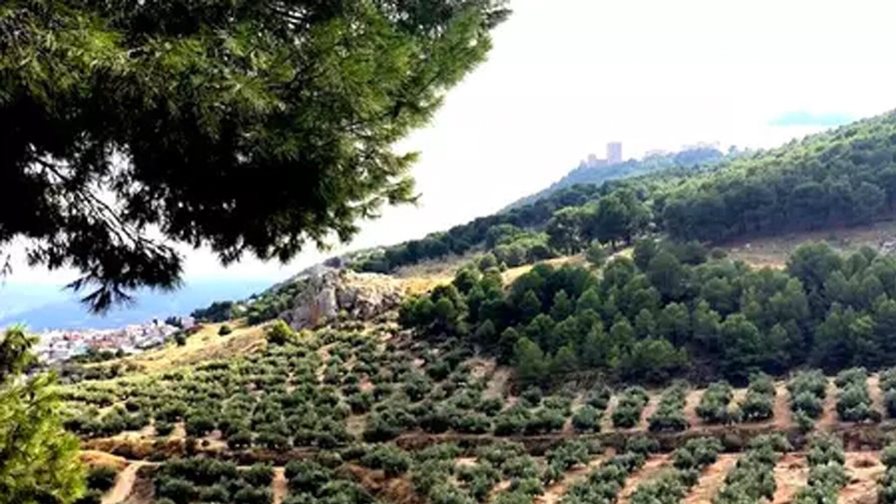 Photo of Outdoor in Jaen