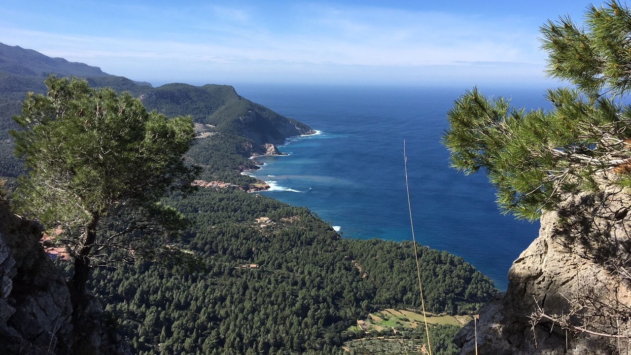 Photo of Others in Valldemossa