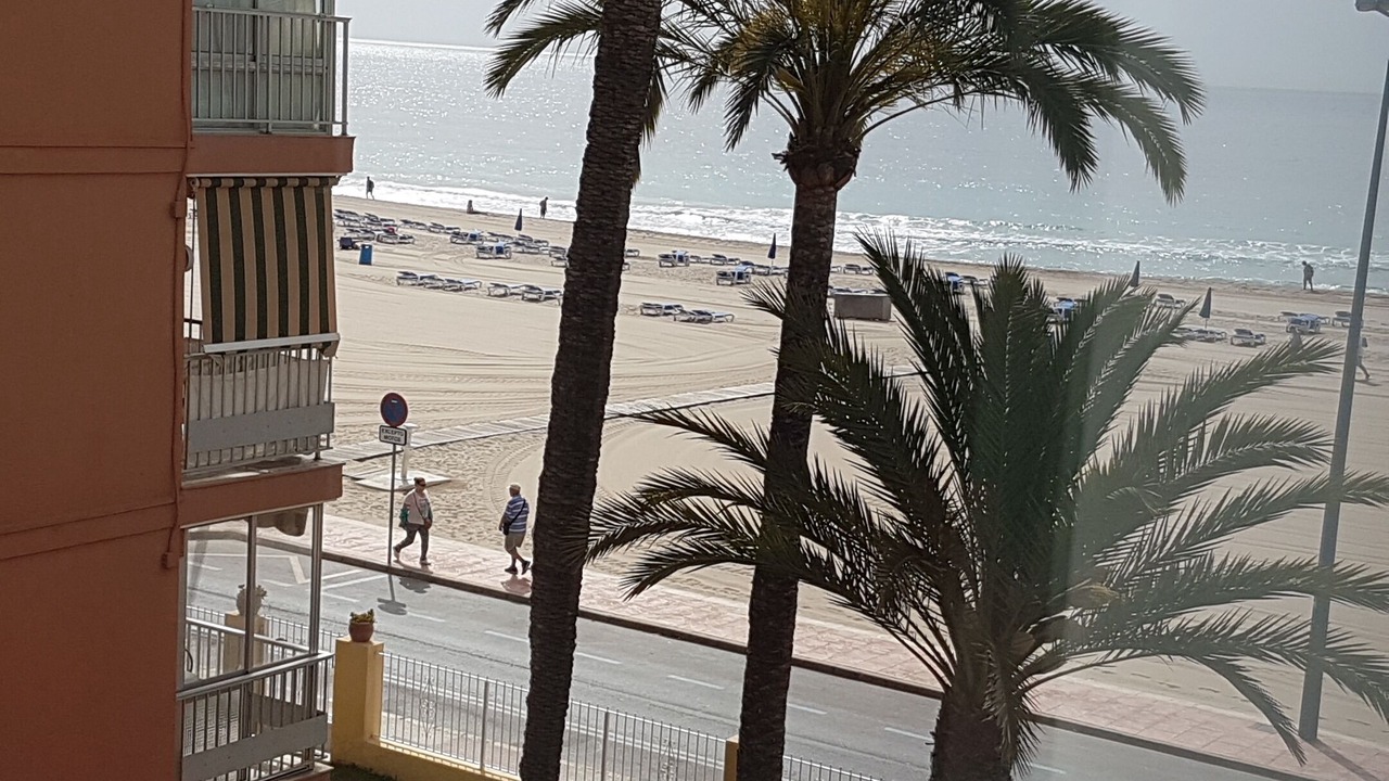 Photo of Outdoor in Benidorm Centro