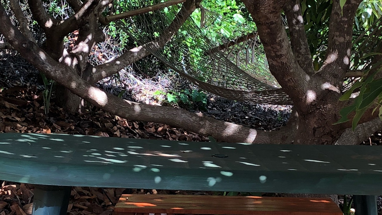 Photo of Outdoor in Santo Domingo