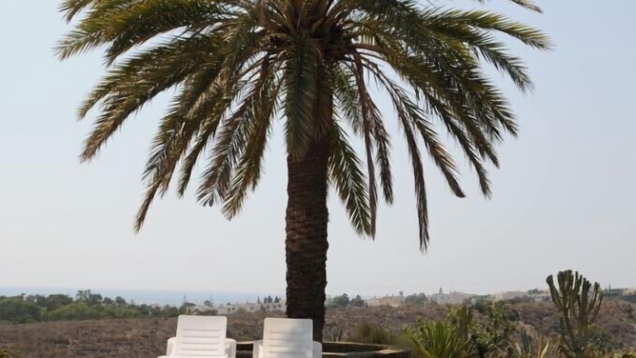 Photo of Outdoor in La Parata
