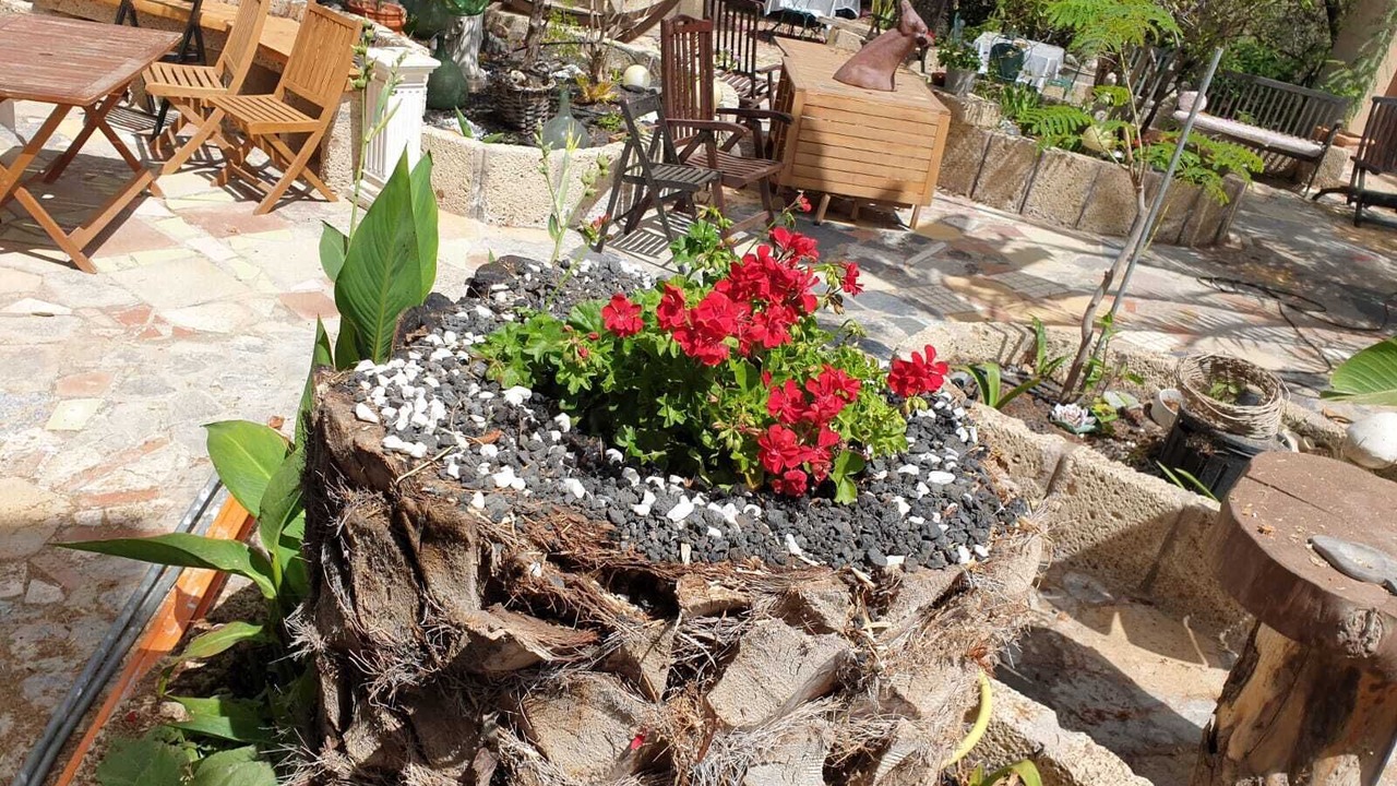 Photo of Outdoor in La Sabinita