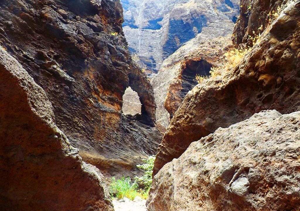 Photo of Outdoor in La Sabinita