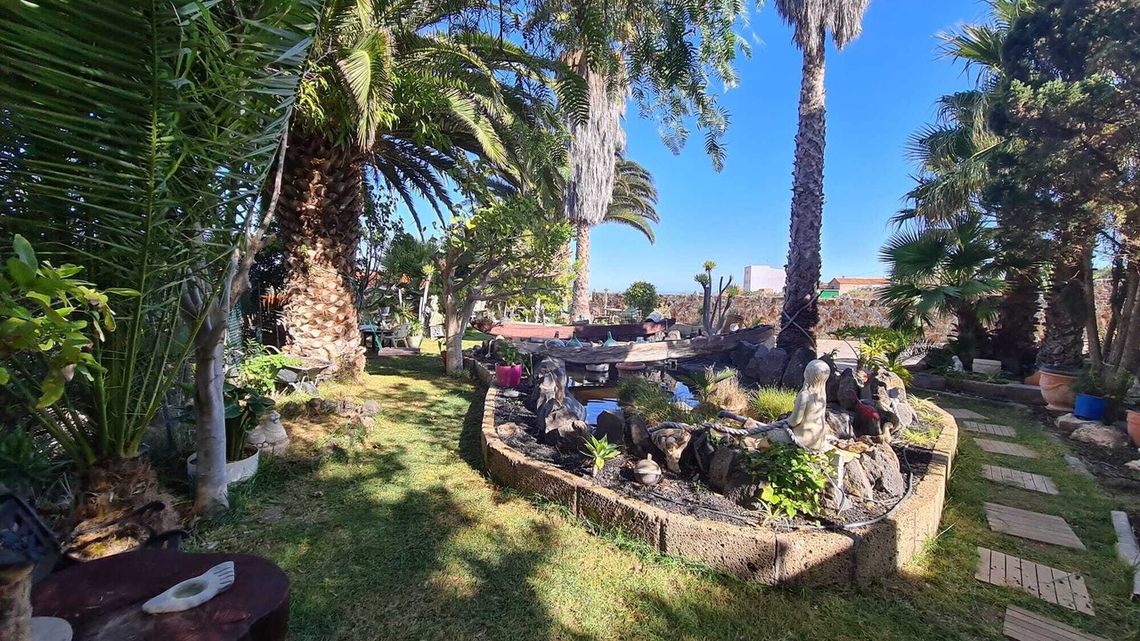 Photo of Outdoor in La Sabinita