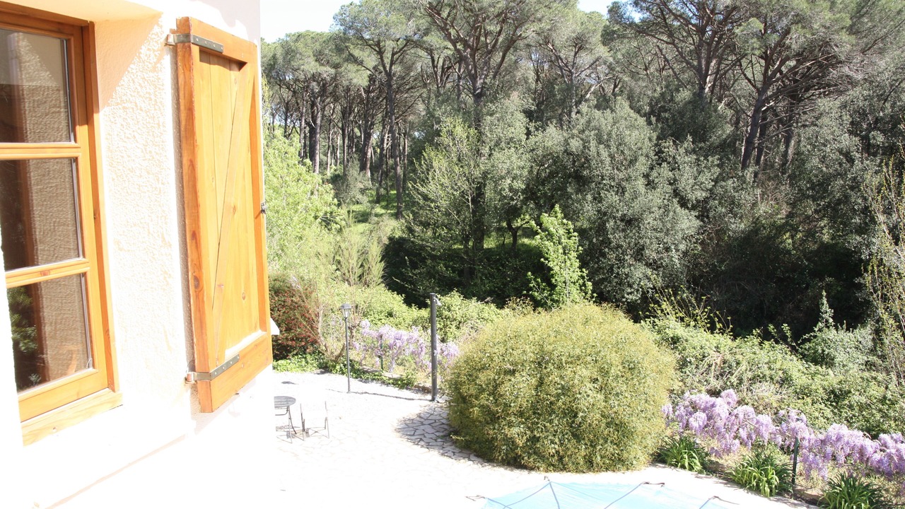 Photo of Outdoor in Calonge