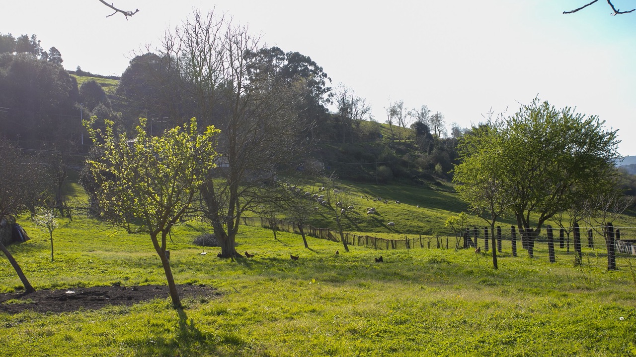 Photo of Outdoor in La Acebosa