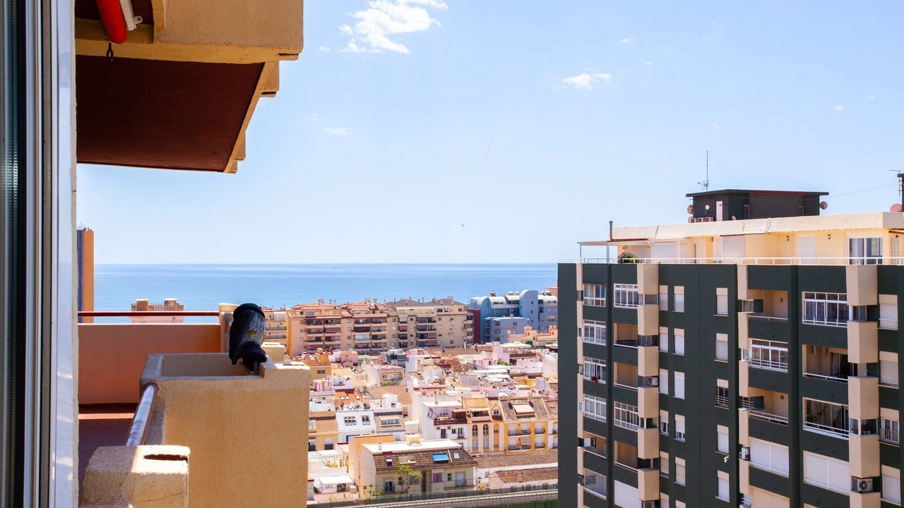Photo of Others in Fuengirola