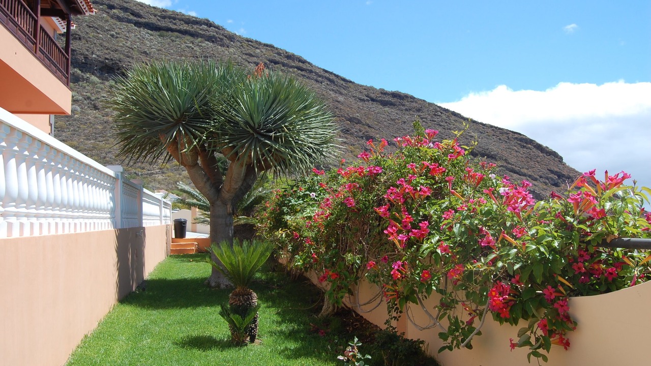 Photo of Outdoor in Candelaria