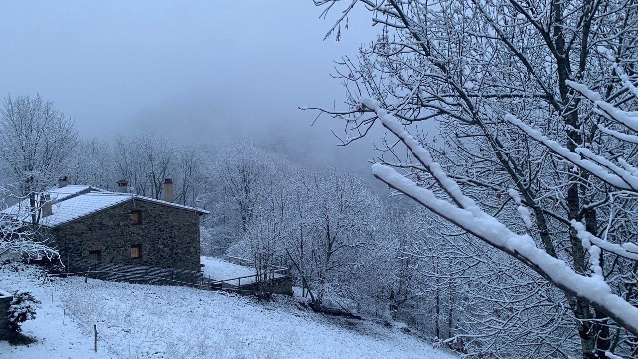 Photo of Outdoor in Mollo