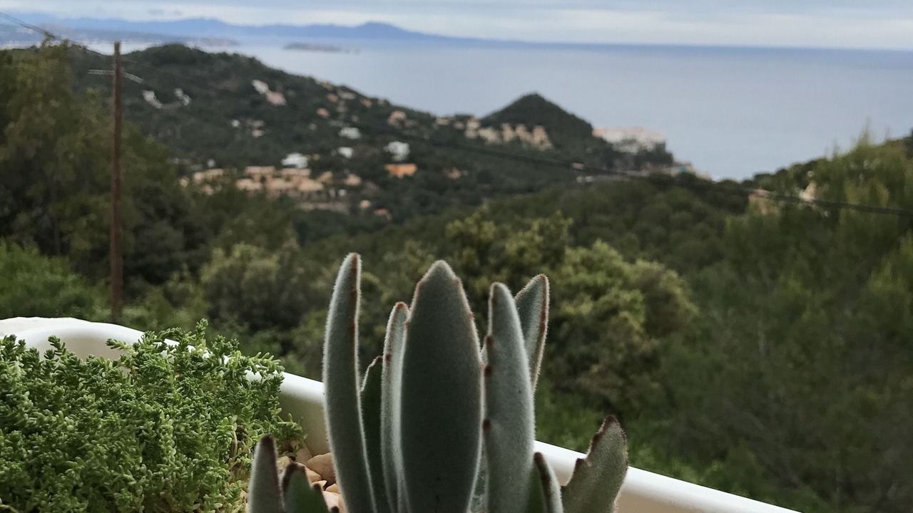 Photo of Patio Balcony in Aiguablava