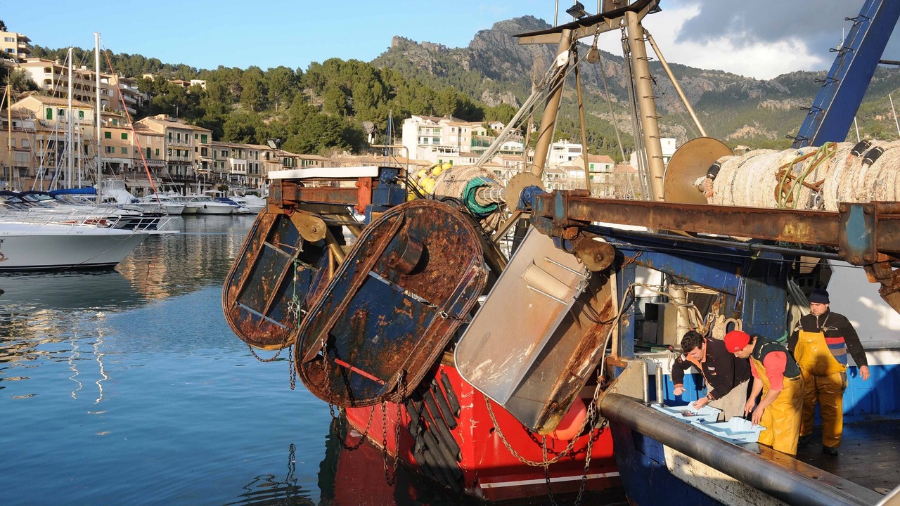 Photo of Others in Soller
