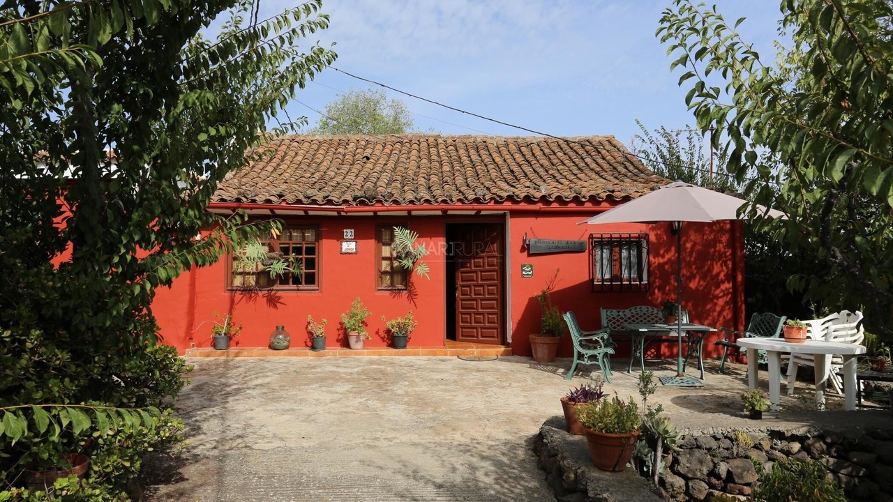 Photo of Outdoor in Vega de San Mateo