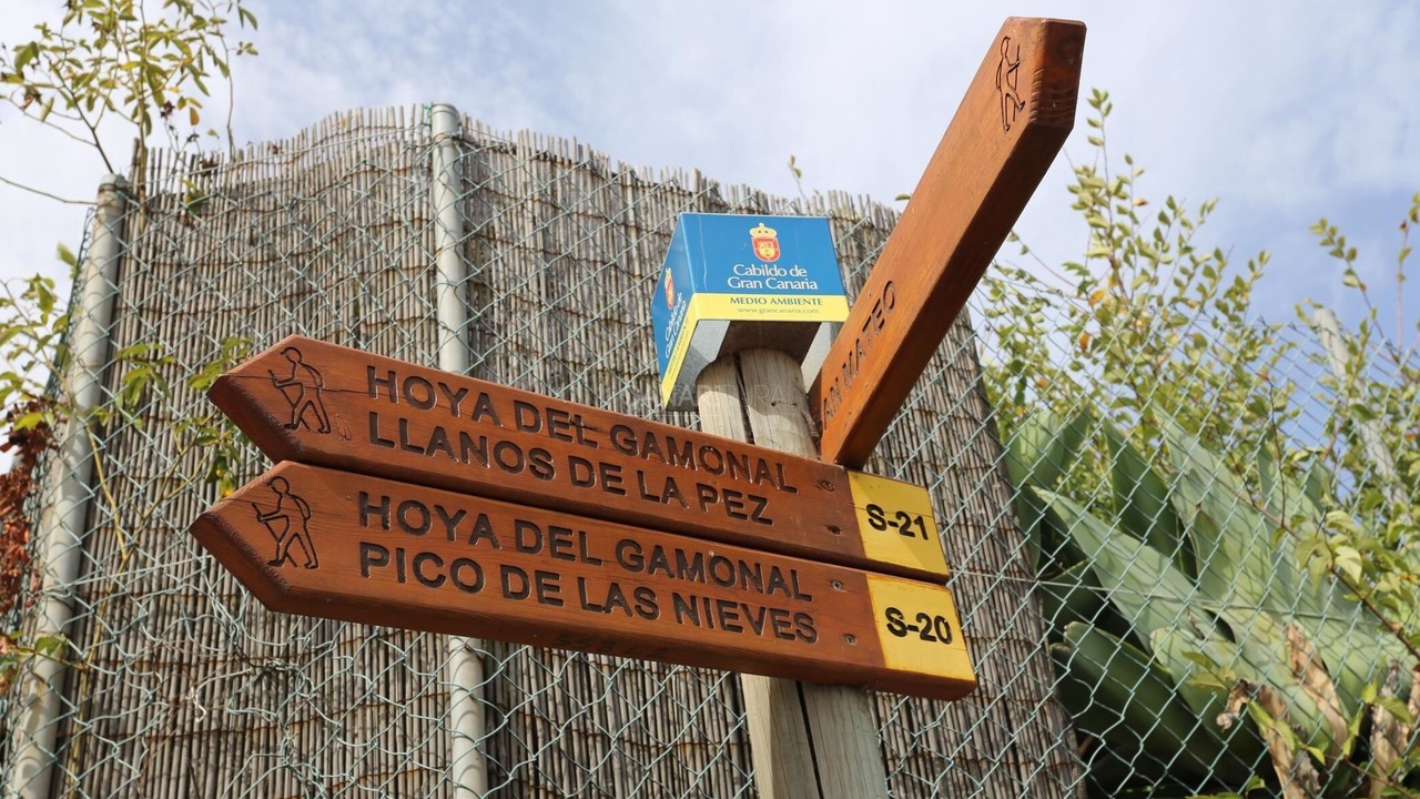 Photo of Outdoor in Vega de San Mateo