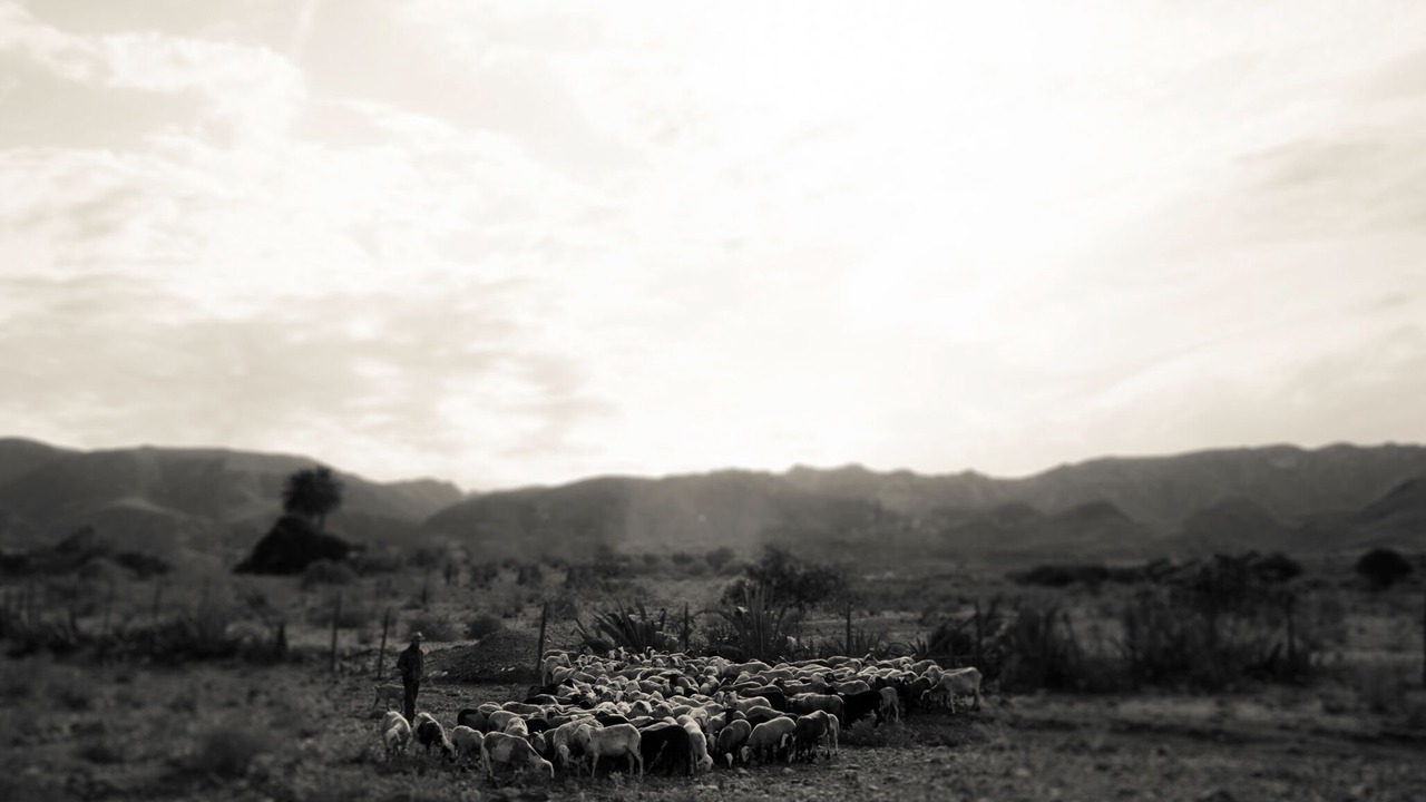 Photo of Others in Rodalquilar