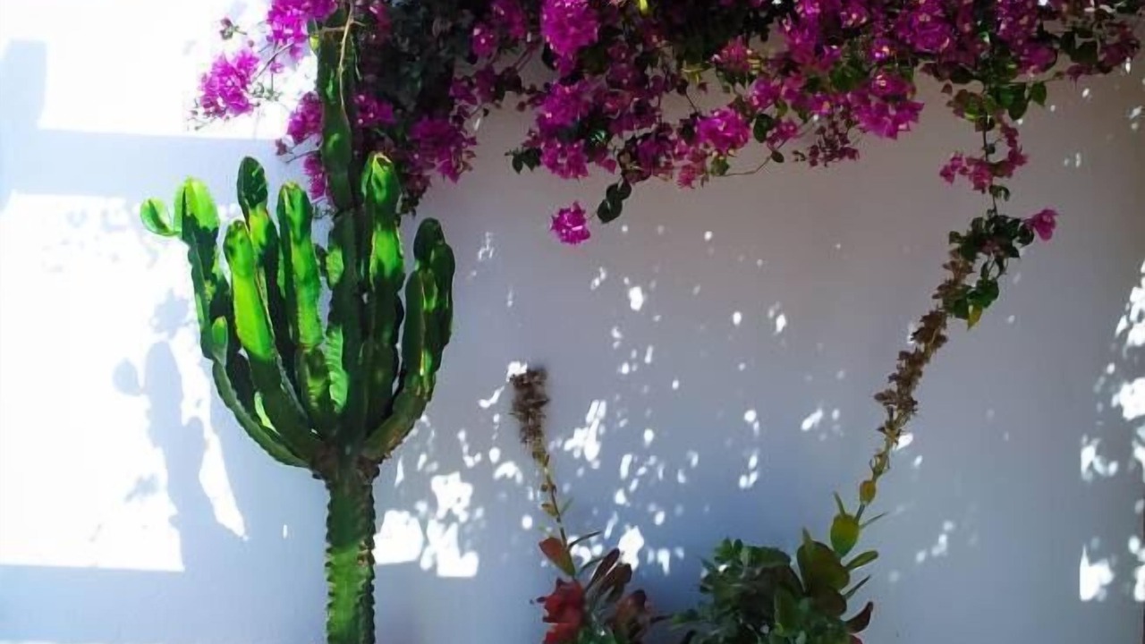 Photo of Outdoor in Rodalquilar